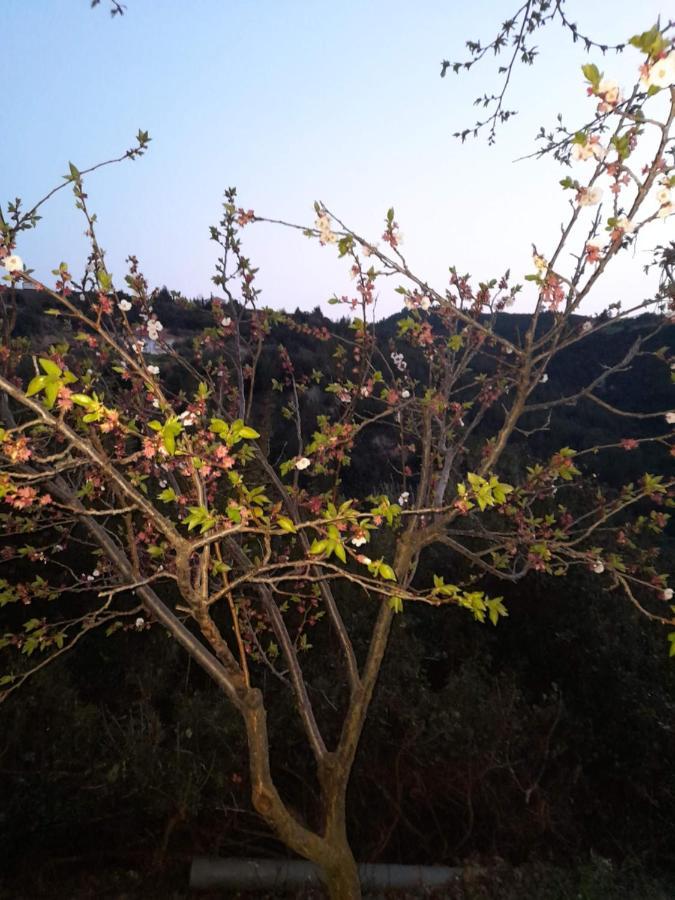 Polystylohill Διαμέρισμα Πολύχρονο Εξωτερικό φωτογραφία