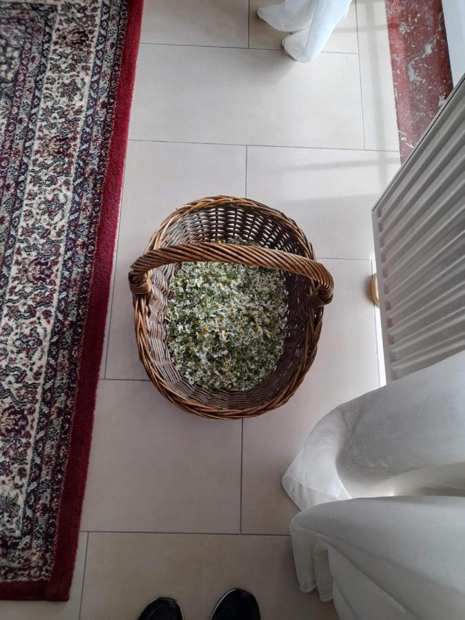 Polystylohill Διαμέρισμα Πολύχρονο Εξωτερικό φωτογραφία